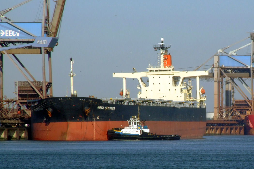 Mona Pegasus w Rotterdamie Mona Pegasus w Rotterdamie