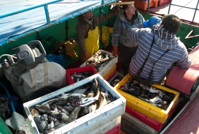 Rybacy odebrali licencje połowowe na 2016 rok