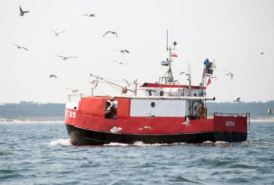 Unijni komisarze zadecydują o przyszłorocznych limitach połowowych