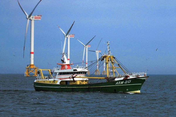 Niderlandy: rybacy na 50 kutrach protestowali przeciwko turbinom wiatrowym