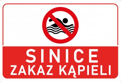 Sanepid: sinice na jedenastu kąpieliskach nad morzem w Zatoce Gdańskiej