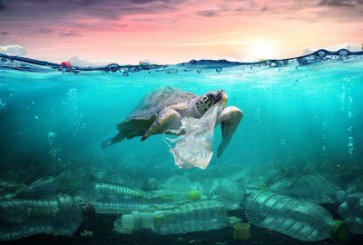 Raport WWF: jednorazowy plastik odpowiada za ponad 60 proc. zanieczyszczenia w oceanach