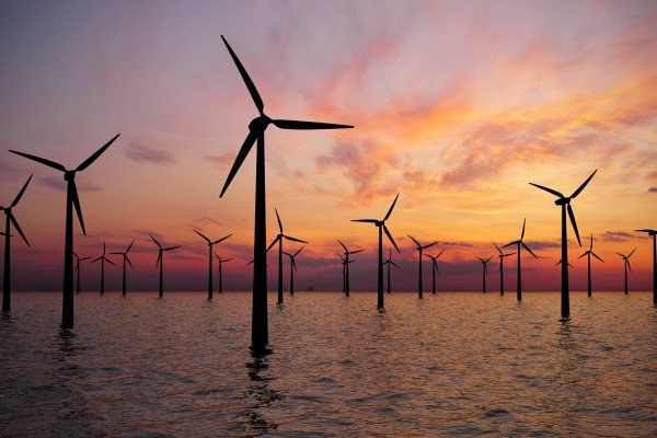 Baltexpo 2021: Morskie farmy wiatrowe kołem zamachowym polskiej gospodarki
