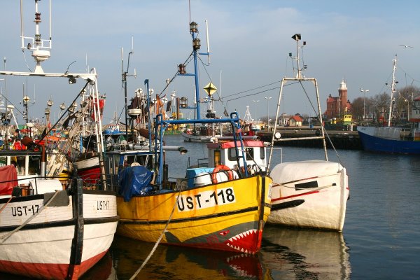 Rząd przyjął projekt ustawy o wspieraniu zrównoważonego rozwoju sektora rybackiego