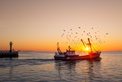 Rozpatrzono projekt ustawy o wspieraniu zrównoważonego rozwoju sektora rybackiego