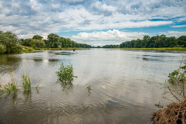 Sejmowe komisje nie poparły wniosku o odrzucenie projektu ustawy o rewitalizacji rzeki ...