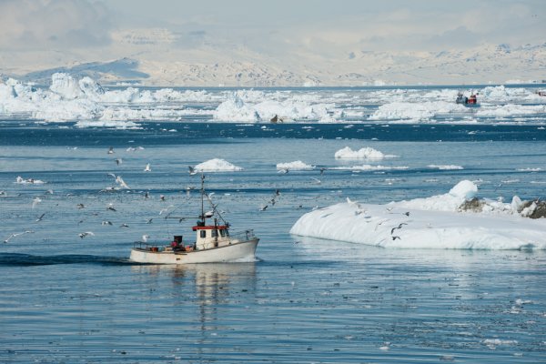 Grenlandia zawiesza porozumienie połowowe z Rosją, Wyspy Owcze - przedłużają