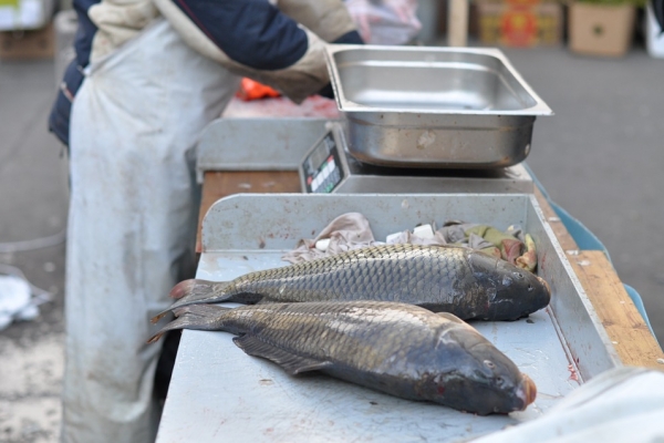 Hodowcy ryb słodkowodnych starają się o przywrócenie dopłat wodno-środowiskowych