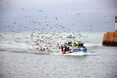 KE proponuje plan połowów ryb w 2019 r. na Atlantyku i Morzu Północnym...