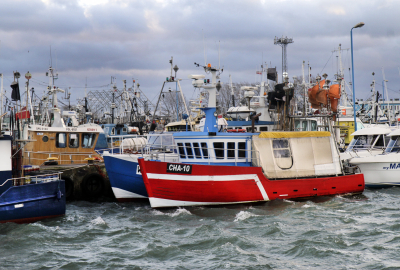 ARiMR: wyjaśniamy wszelkie ewentualne nieprawidłowości w sektorze rybnym...