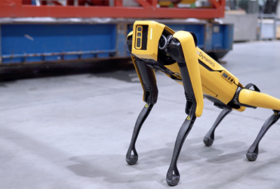 Pies-robot firmy Boston Dynamics 
