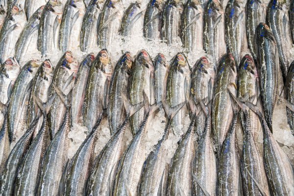 Pandemia stała się szansą dla Polski na przejęcie roli Chin w przetwórstwie rybnym