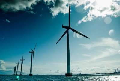 raport środowiskowy dla morskiej farmy wiatrowej