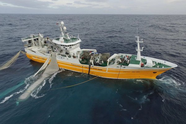 Duńscy rybacy zaczną w 100 procentach dokumentować połowy