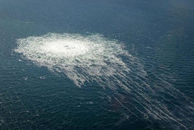 Analiza po wybuchach Nord Stream: Bałtyk zanieczyszczony trującym osadem, foki doznały ...
