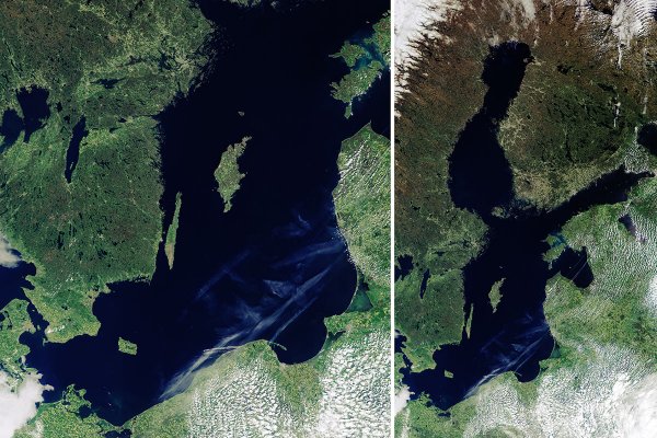 Zdrowe morza: Komisja Europejska kieruje wysiłkami na rzecz poprawy stanu Bałtyku