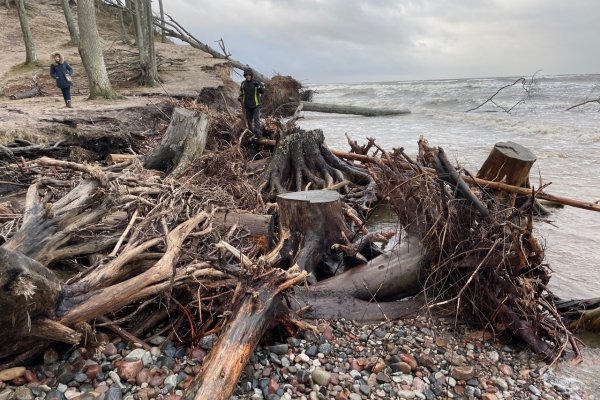 Znaczne zniszczenia plaż i umocnień brzegowych po grudniowych sztormach
