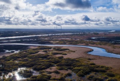 Wiceminister klimatu: Utworzenie parku narodowego w Dolinie Dolnej Odry nie wpłynie na ...