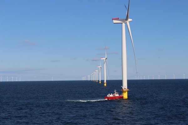 Kosiniak-Kamysz: farmy wiatrowe na morzu to szansa dla Pomorza Zachodniego