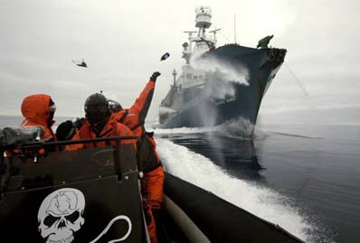 Ocean Arktyczny, 2 lutego 2009 r. Załoga "Sea Shepherd" rzuca na pokład japońskiego statku wielorybniczego butelki z kwasem masłowym, który śmierdzi jak wymiociny. Japończycy bronią się za pomocą armatki wodnej