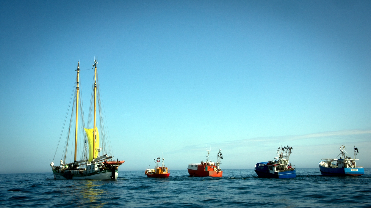 Rybacy łodziowi i jacht Beluga w Kołobrzegu