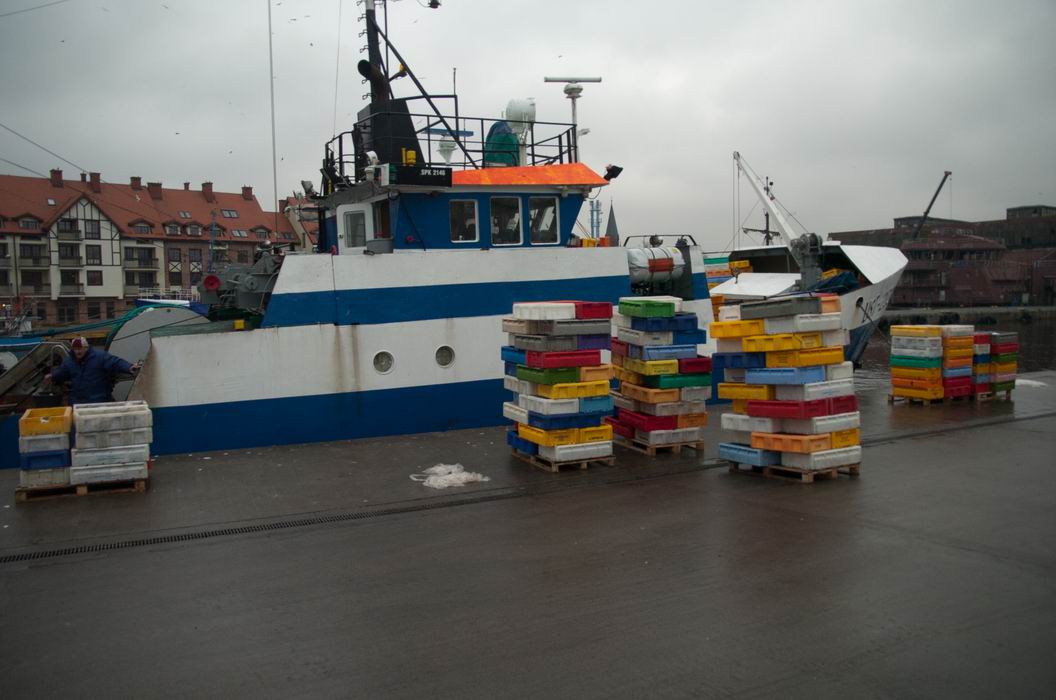 Rybacy Chca 5 Letniego Zakazu Polowow Na Baltyku Wielkie Paszowce Wylawiaja Nam Rybe Zanim Urosnie Portalmorski Pl