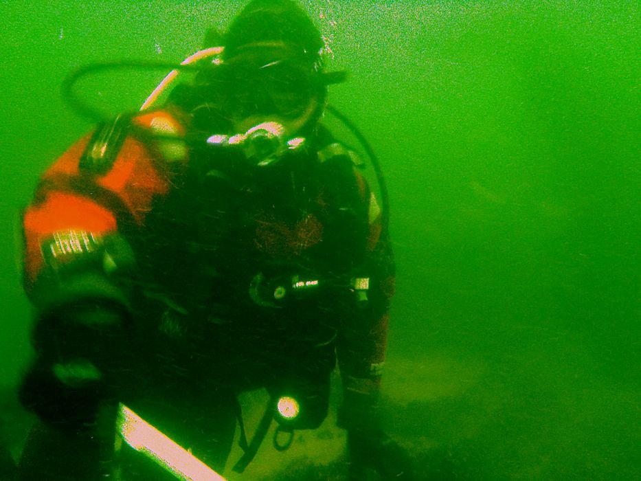 Nurek szukający sieci podczas zeszłorocznej akcji.