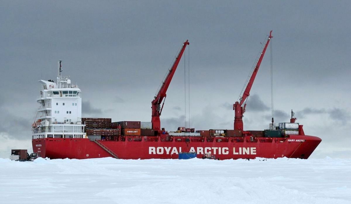 Mary Arctica na Antarktydzie