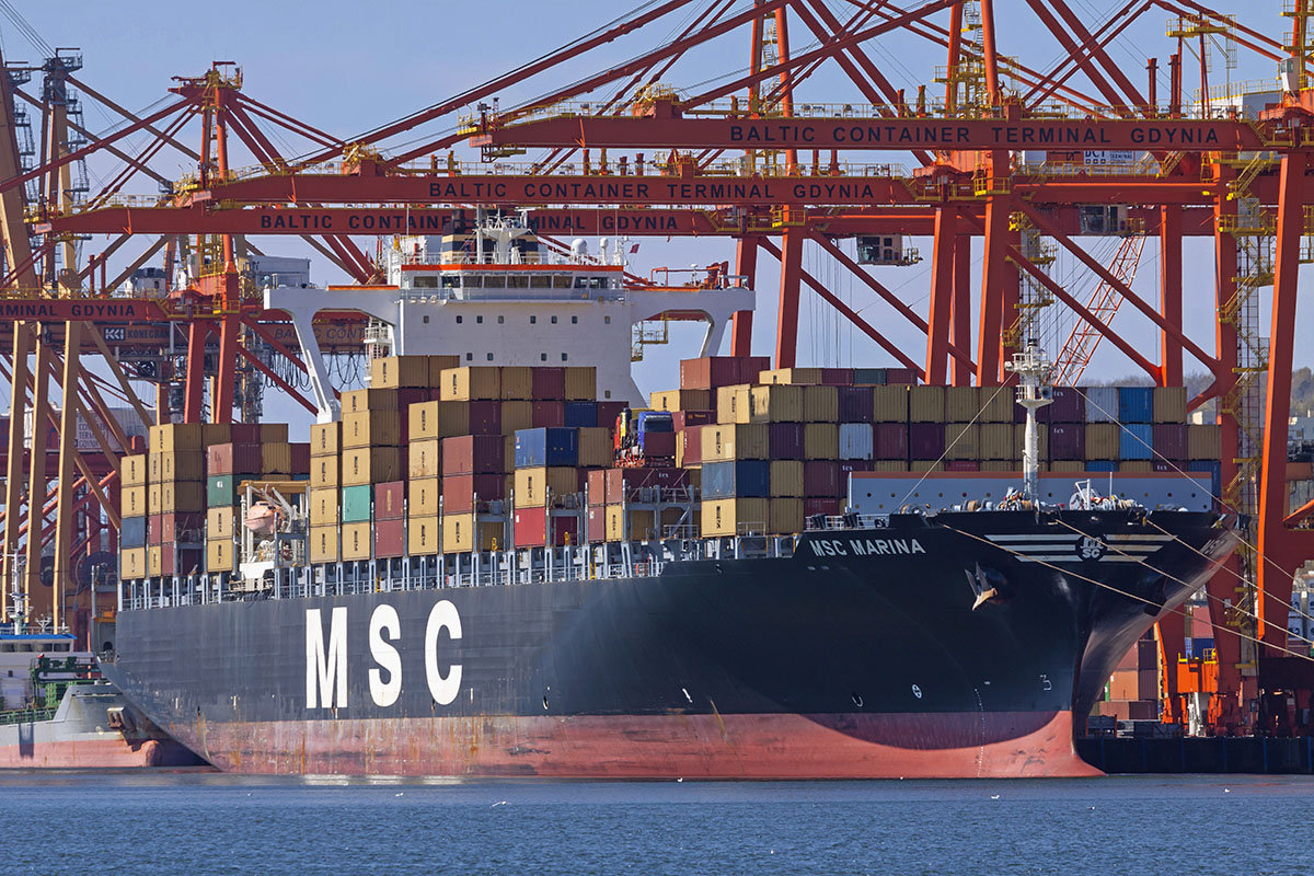 MSC Marina w BCT Gdynia