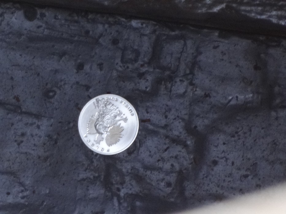 Moneta na dnie jednostki