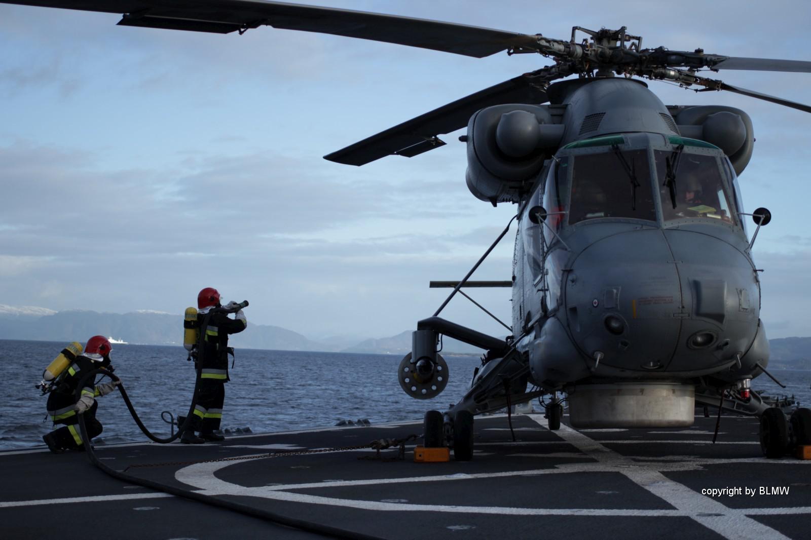 Dynamic Mongoose 2014