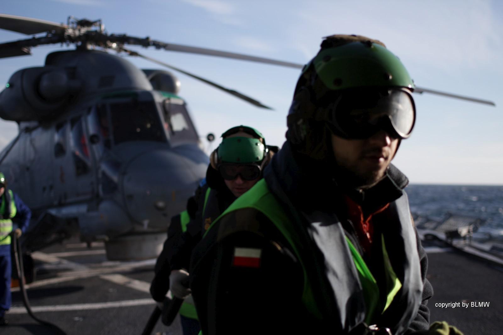 Dynamic Mongoose 2014