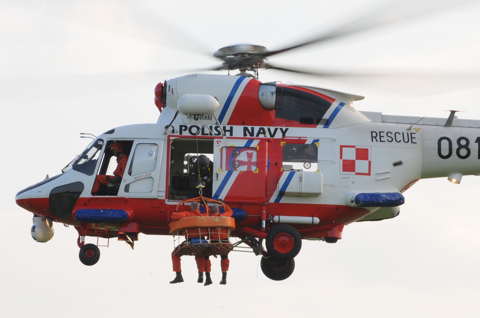 Anakonda w akcji Anakonda w akcji