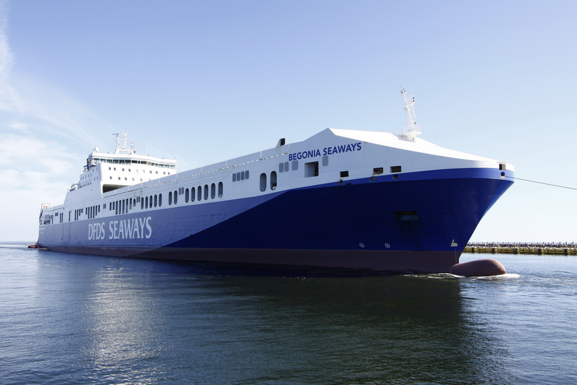 Begonia Seaways Begonia Seaways