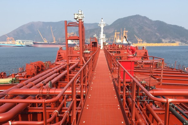 Elandra Palm Elandra Palm