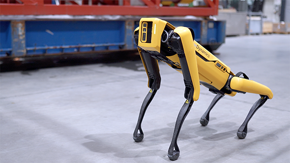 Pies-robot firmy Boston Dynamics 