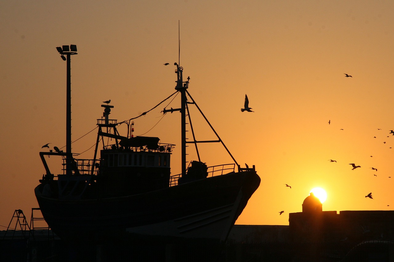 unijny sektor rolnictwa i rybołówstwa