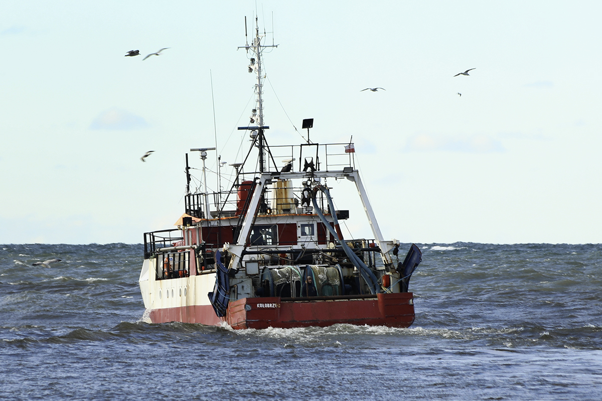 Projekt noweli ustawy o rybołówstwie wdroży przepisy ws. kontroli połowów