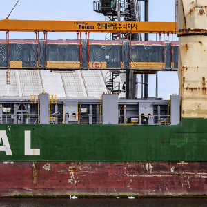 Wyladunek-tramwajow-w-Porcie-Gdynia