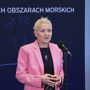 Konferencja „Offshore - koncesje w polskich obszarach morskich