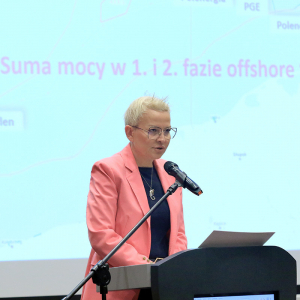 Konferencja „Offshore - koncesje w polskich obszarach morskich