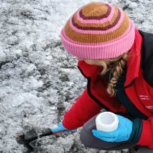 Pobieranie próbek lodu na lodowcu Werenskiolda. Fot.: Anna Olszewska