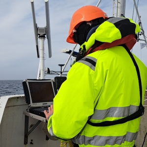 fot_Damiana_Boroń_3BIRD