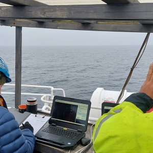 fot_Marcin_Dyduch_3BIRD