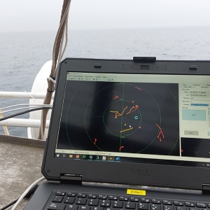 fot_MarcinDyduch_3BIRD