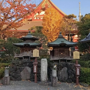 Spotkanie przedstawicieli Portu Gdańsk z japońskimi przedsiębiorcami podczas wydarzenia Business Mixer w Tokio.  Fot.: Port Gdańsk/materiały prasowe