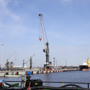 _C7A8226-1m
