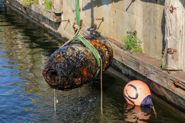 Operacja wydobycia głowicy torpedy G7 z okresu II Wojny Światowej