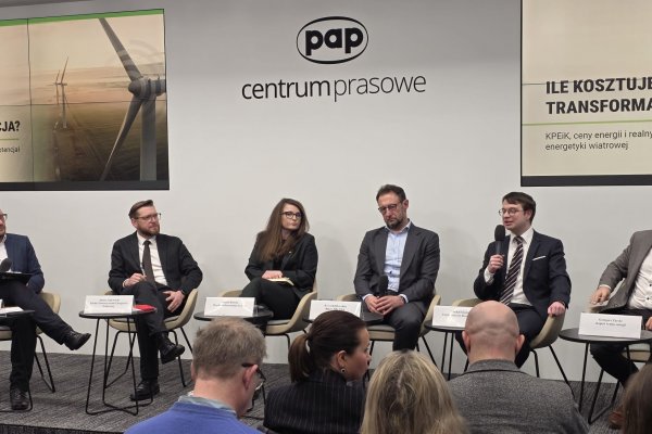 Wiatr zamiast paliw z importu. Rząd zdecyduje, czy spadną rachunki za pr...