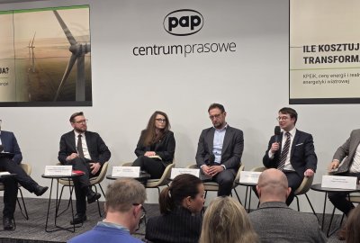 Wiatr zamiast paliw z importu. Rząd zdecyduje, czy spadną rachunki za pr...